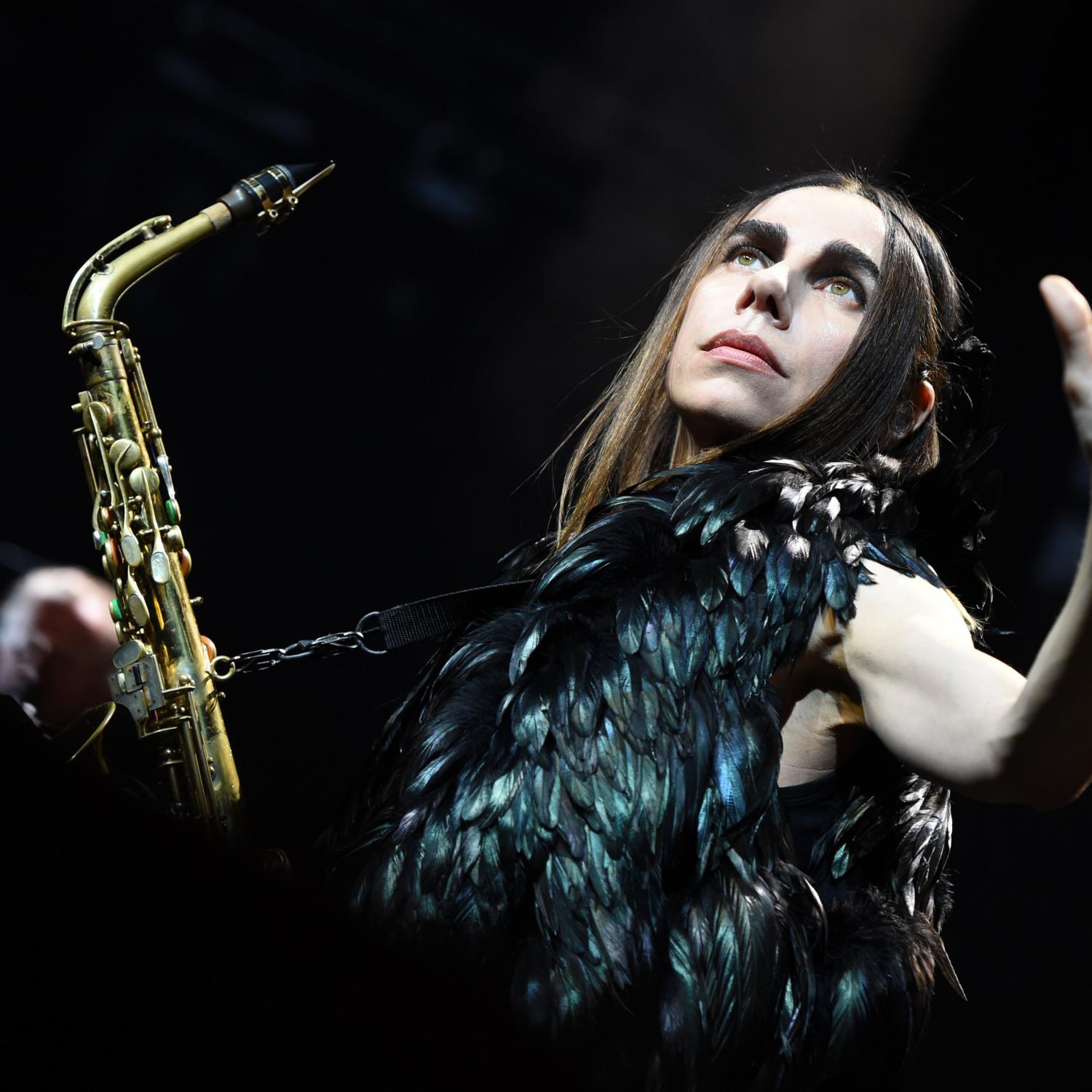 PJ Harvey